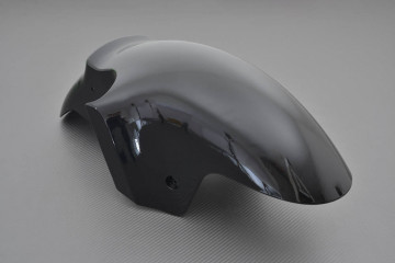 Guardabarro Delantero KAWASAKI ZX12R 2000 - 2006