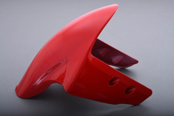 Vorderer Kotflügel DUCATI PANIGALE 899 / 1199 2012 - 2015