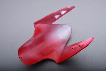 Vorderer Kotflügel DUCATI PANIGALE 899 / 1199 2012 - 2015