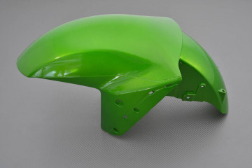 Vorderer Kotflügel KAWASAKI ZZR 1400 / PERFORMANCE 2006 - 2021