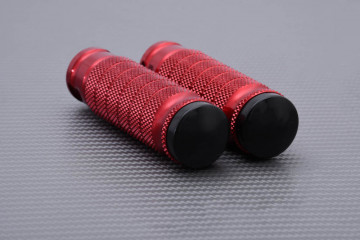 Paar Fußrasten für die Rastenanlage