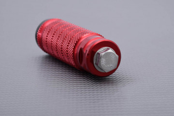 Paar Fußrasten für die Rastenanlage