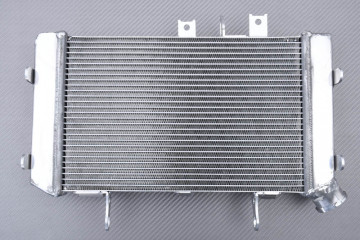 Radiador SUZUKI VSTROM DL 650 2012 - 2023