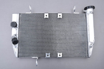 Radiateur DUCATI MULTISTRADA 950 / 1200 / 1260 2016 - 2021