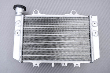 Radiateur BMW G310RR 2022 - 2023