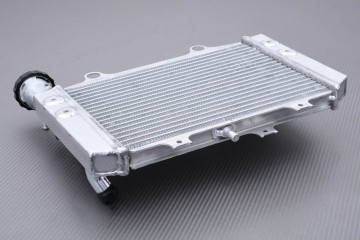 Radiator TVS APACHE 310 RR 2019 - 2023