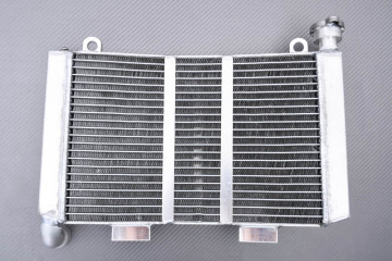 Radiator SUZUKI RGV 250...