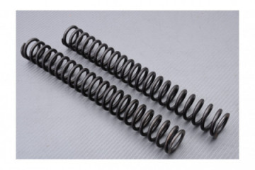 Fork springs TNK Motors for...