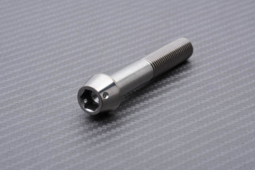 Schrauben und Muttern für Radialbremssättel aus Titan / Edelstahl für DUCATI M10 X P1.25 X 60 MM