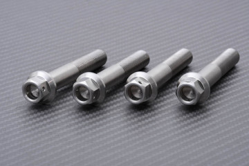 Titanium / Stainless Steel Radial Calipers Bolt for KAWASAKI M10 X P1.25 X 60 MM