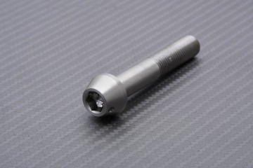 Vite per pinza freno radiale Titanio / Acciaio Inox per SUZUKI M10 X P1.25 X 60 MM