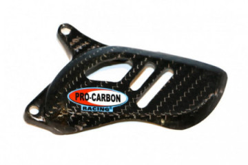 Ritzelschutz aus Carbon...