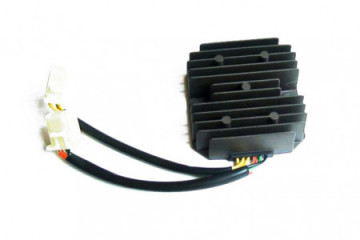 Voltage regulator TOURMAX...