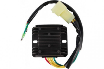 Voltage regulator TOURMAX...