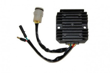 Voltage regulator TOURMAX...