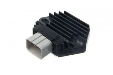 Voltage regulator TOURMAX...