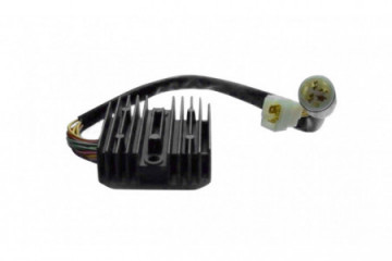 Voltage regulator TOURMAX...