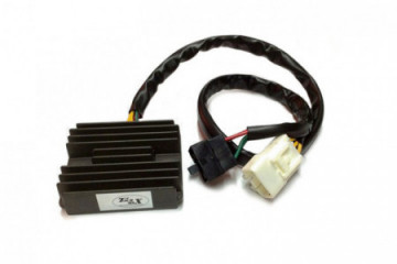 Voltage regulator TOURMAX...