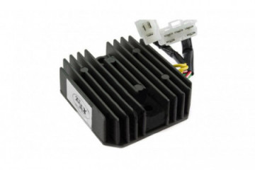 Voltage regulator TOURMAX...