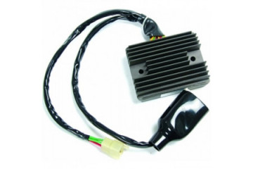 Voltage regulator TOURMAX...