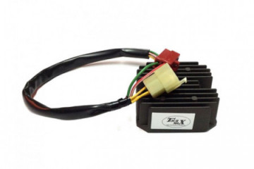 Voltage regulator TOURMAX...