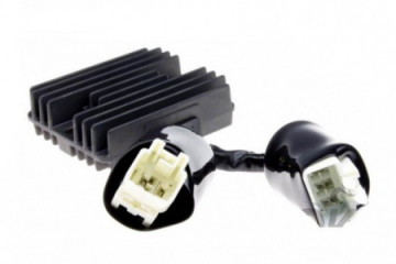 Voltage regulator TOURMAX...