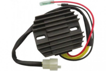 Voltage regulator TOURMAX...