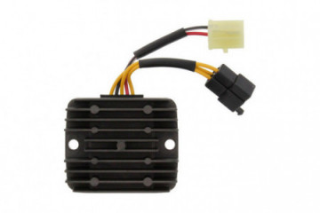 Voltage regulator TOURMAX...