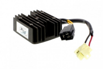 Voltage regulator TOURMAX...