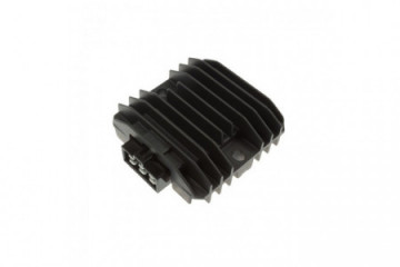 Voltage regulator TOURMAX...