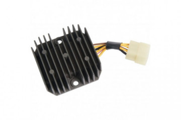 Voltage regulator TOURMAX...