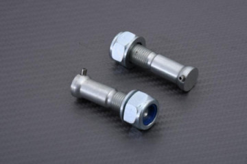 Coppia di viti per...