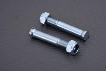 Coppia di viti per...