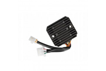 Voltage regulator TOURMAX...