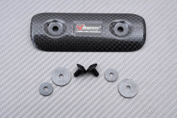 AKRAPOVIC carbon exhaust...