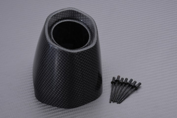 AKRAPOVIC Carbon Exhaust...