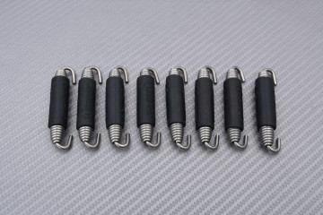 Komplette Auspuffanlage AKRAPOVIC EVOLUTION 2 Titan KAWASAKI ZX10R 2004 - 2005