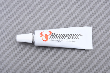 Komplette Auspuffanlage AKRAPOVIC EVOLUTION 2 Titan KAWASAKI ZX10R 2004 - 2005