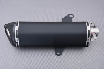 Muffler / Exhaust line HONDA FORZA NSS 350 2021 - 2023