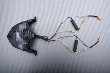 LED-Rücklicht "Plug & Play" mit integrierten Blinkern KAWASAKI Z750 / Z1000 / ZX6R / ZX10R 2007 - 2013