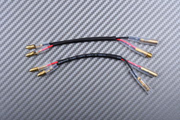 LED-Rücklicht "Plug & Play" mit integrierten Blinkern YAMAHA FZR 1000 / TDM 850 / TDR 125 1991 - 2002