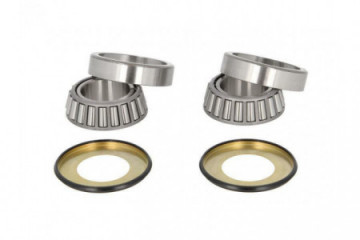 Steering stem bearings...