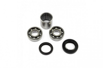 Rodamientos del basculante...