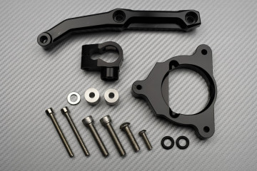 Lenkungsdämpfer KAWASAKI Z800 Z800E 2013 - 2016