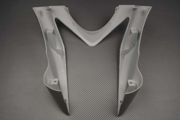 Frontverkleidung Kawasaki ER6 N 2009 - 2011