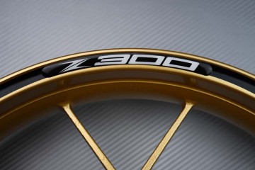 Stickers bordo cerchioni KAWASAKI - Logo Z300