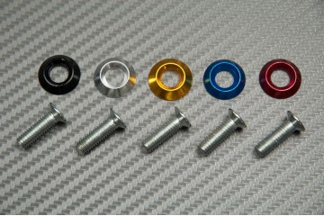 Vite decorativa con rondella colorata