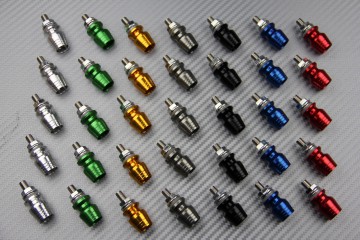 Tornillo decorativo con offset de color