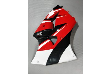Komplette Motorradverkleidung KAWASAKI ZX6R / 636 2000 - 2002