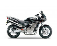 Honda HORNET S 600 2000-2003 PC34